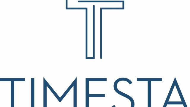 TIMESTA_logotipas_centrinis